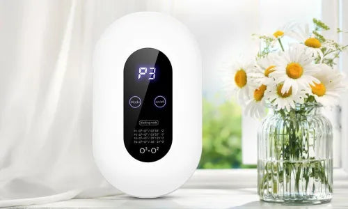 AIR PURIFIER FEELANTURE