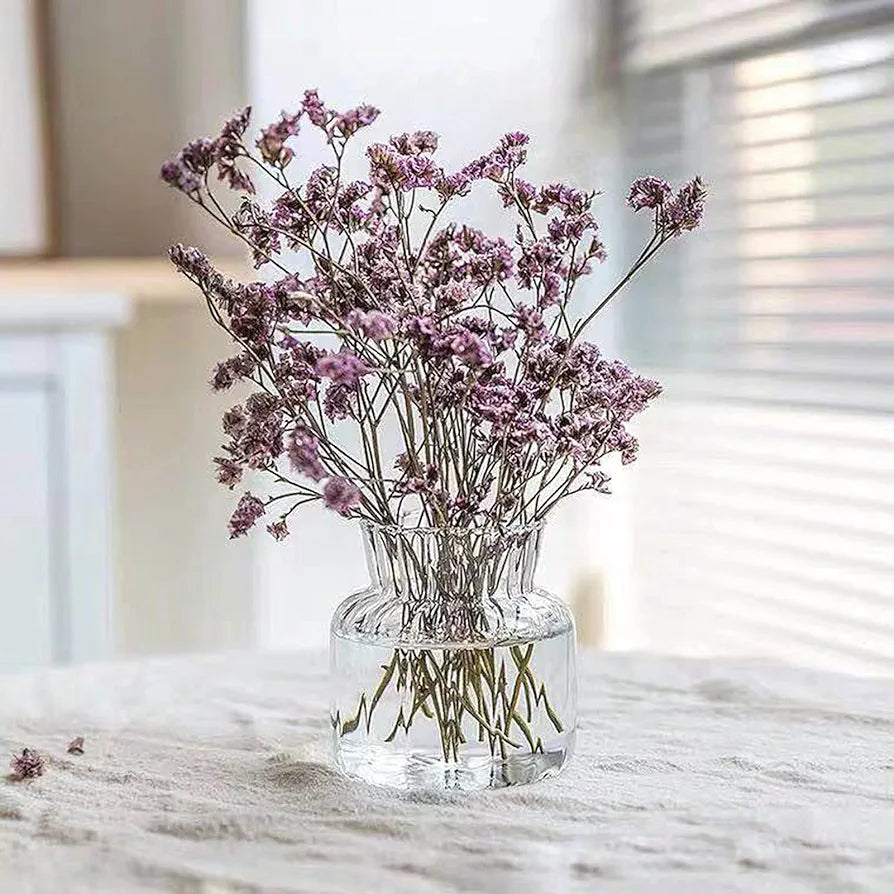 Vase Vase Versatile