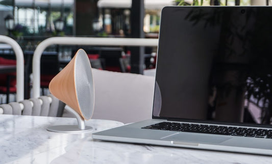 BLUETOOTH SPEAKER